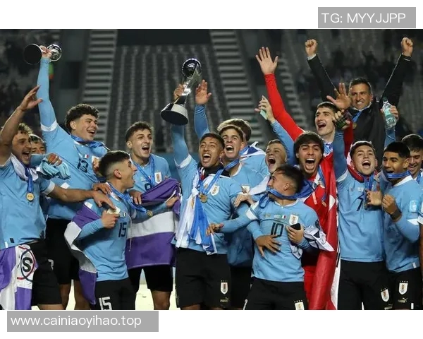 美洲杯赛事历史回顾与未来发展趋势分析